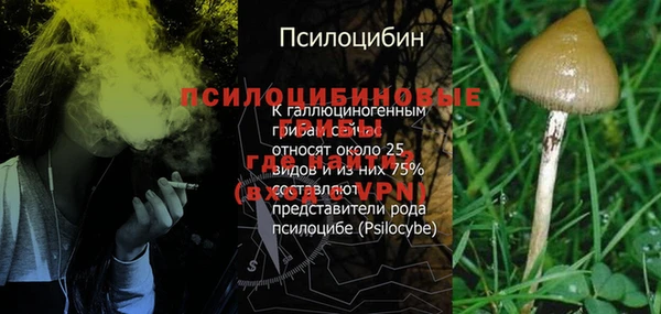 метадон Лагань