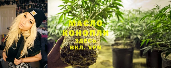 молекула духа Нягань