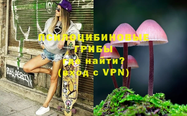 дмт Кукмор