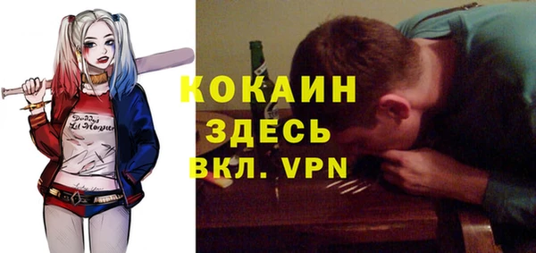 молекула духа Нягань