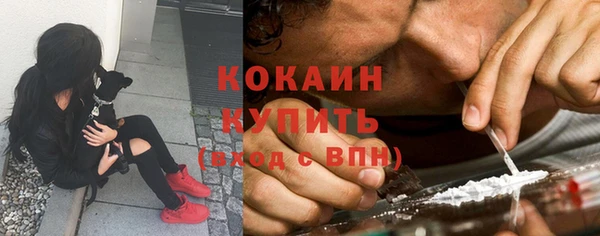 молекула духа Нягань