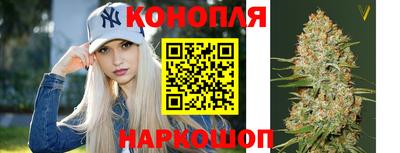 тгк Гусев