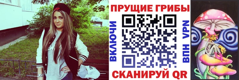 OMG вход  Луховицы  Галлюциногенные грибы Magic Shrooms 
