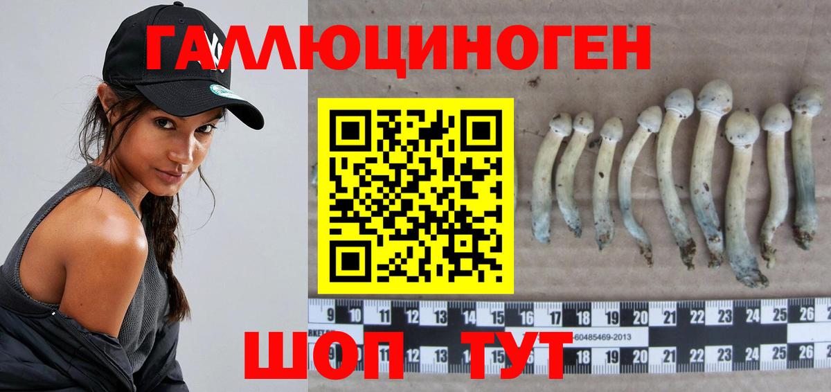 А ПВП Луховицы