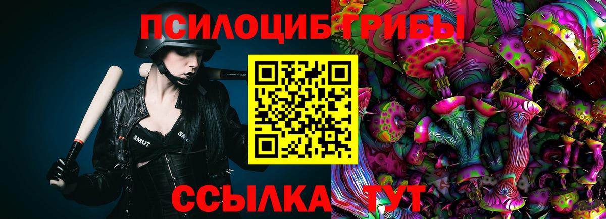 Галлюциногенные грибы прущие грибы  Галлюциногенные грибы Psilocybe  Луховицы 