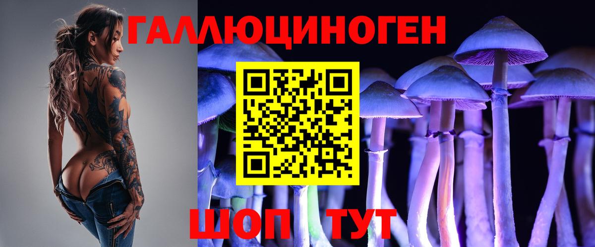 Луховицы  Галлюциногенные грибы прущие грибы  Вход с VPN 